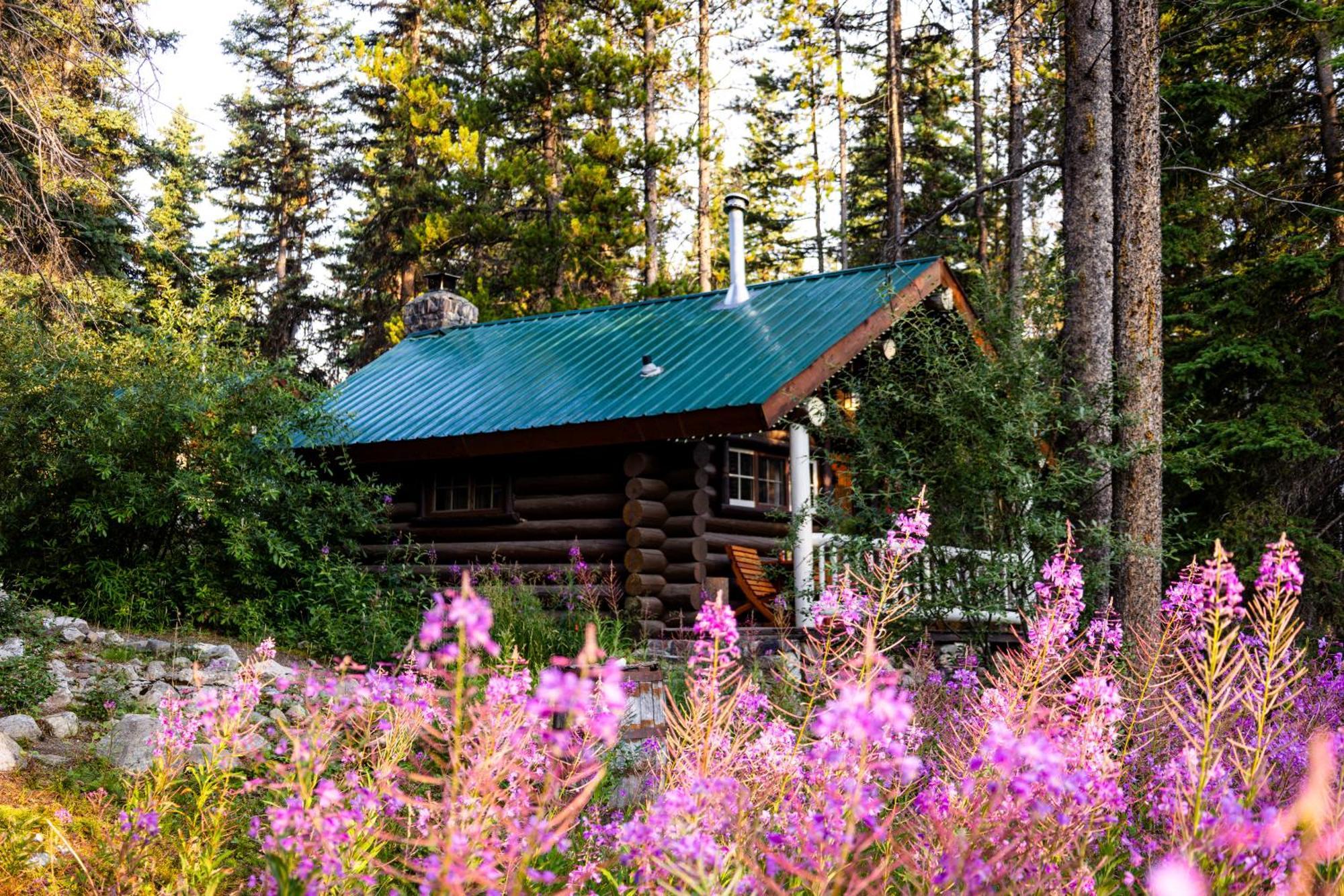 Storm Mountain Lodge & Cabins Castle Junction Eksteriør billede
