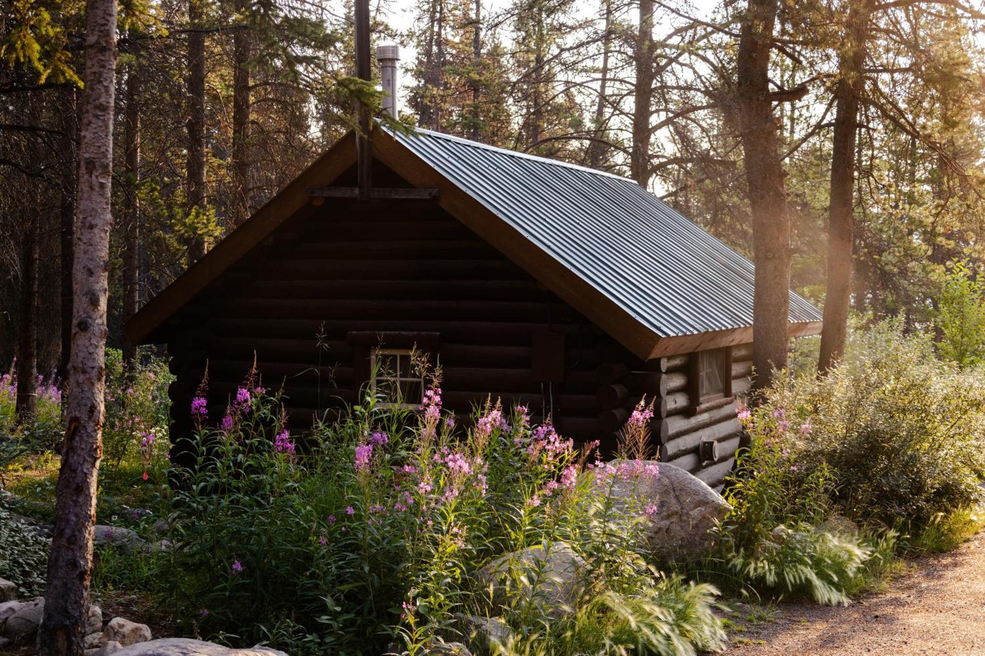 Storm Mountain Lodge & Cabins Castle Junction Eksteriør billede